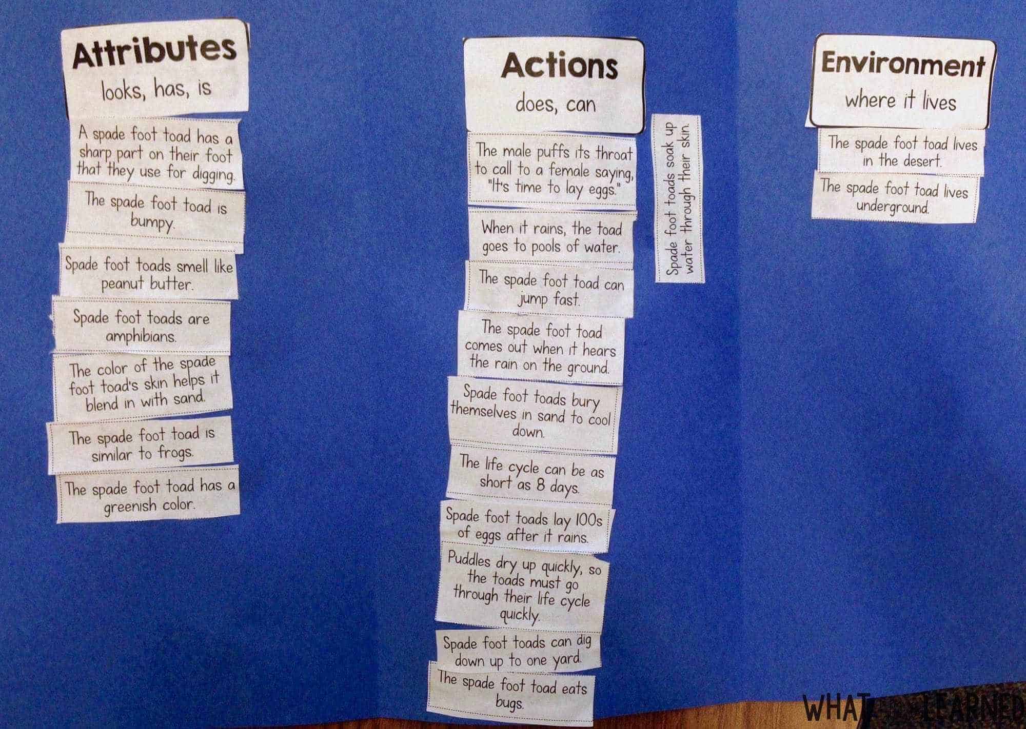 Informational Writing Week 2: Introducing the Topic in Second Grade 4 Informational Writing can be difficult for students. They mainly have trouble figuring out which facts go together and writing an organized paragraph. Find out how I teach Informational Writing in this blog post series.