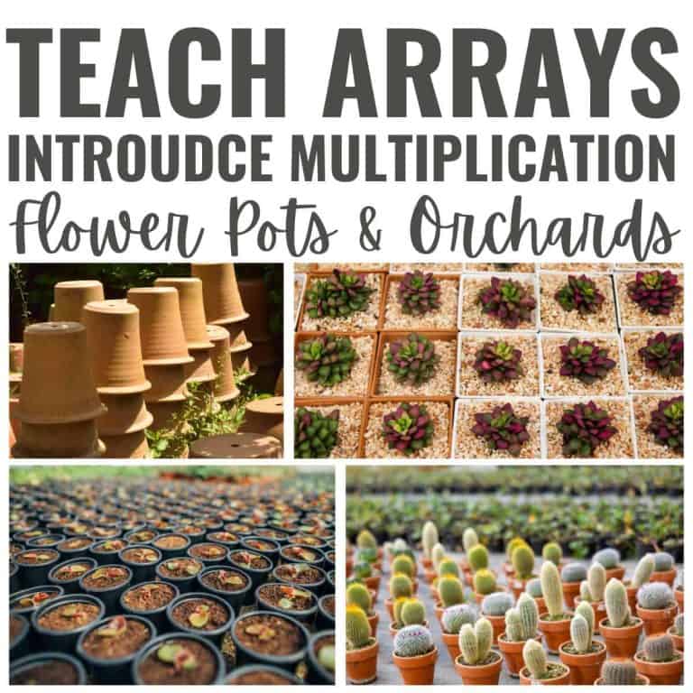 teach arrays with flowerpots and orchards.