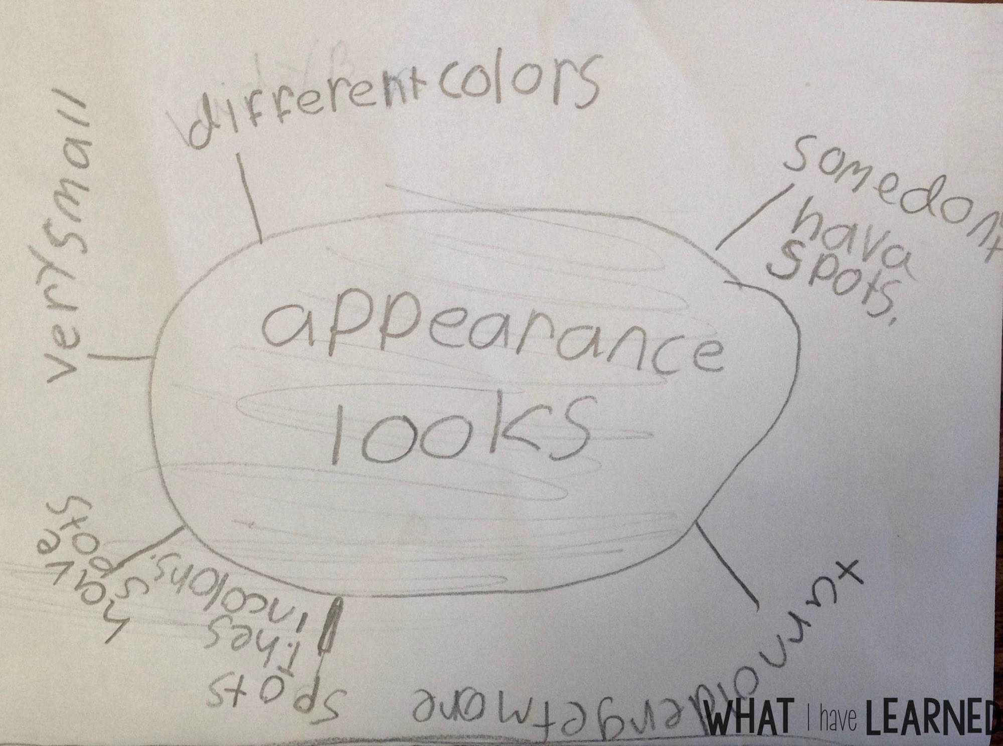 Are your students creating disorganized paragraphs when writing about information or expository text? Find out how I help students organize their facts before writing a paragraph about an animal. This is Week 4 of a series on Informational Writing. This week, we look at using a checklist when writing.