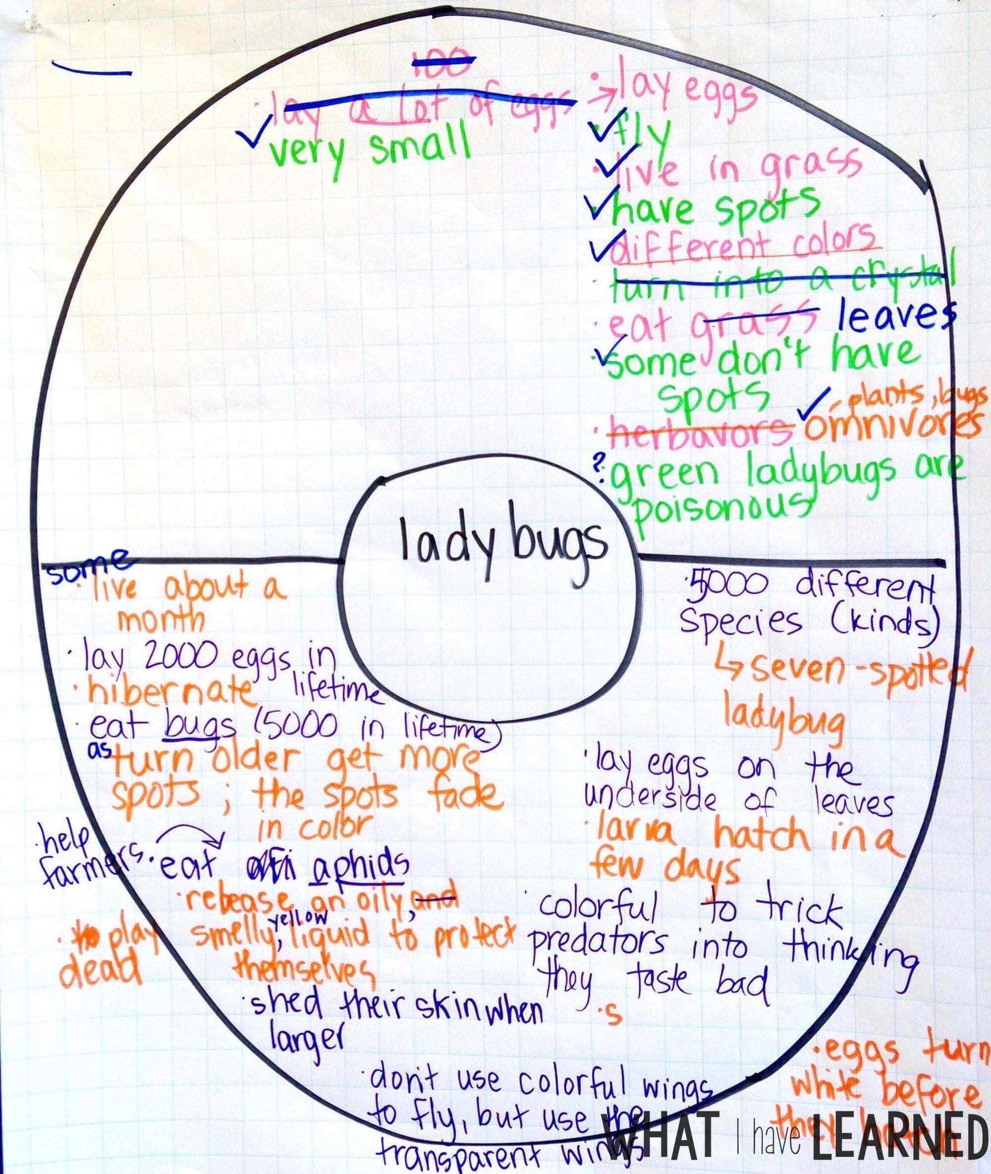 Are your students creating disorganized paragraphs when writing about information or expository text? Find out how I help students organize their facts before writing a paragraph about an animal. This is Week 4 of a series on Informational Writing. This week, we look at using a checklist when writing.