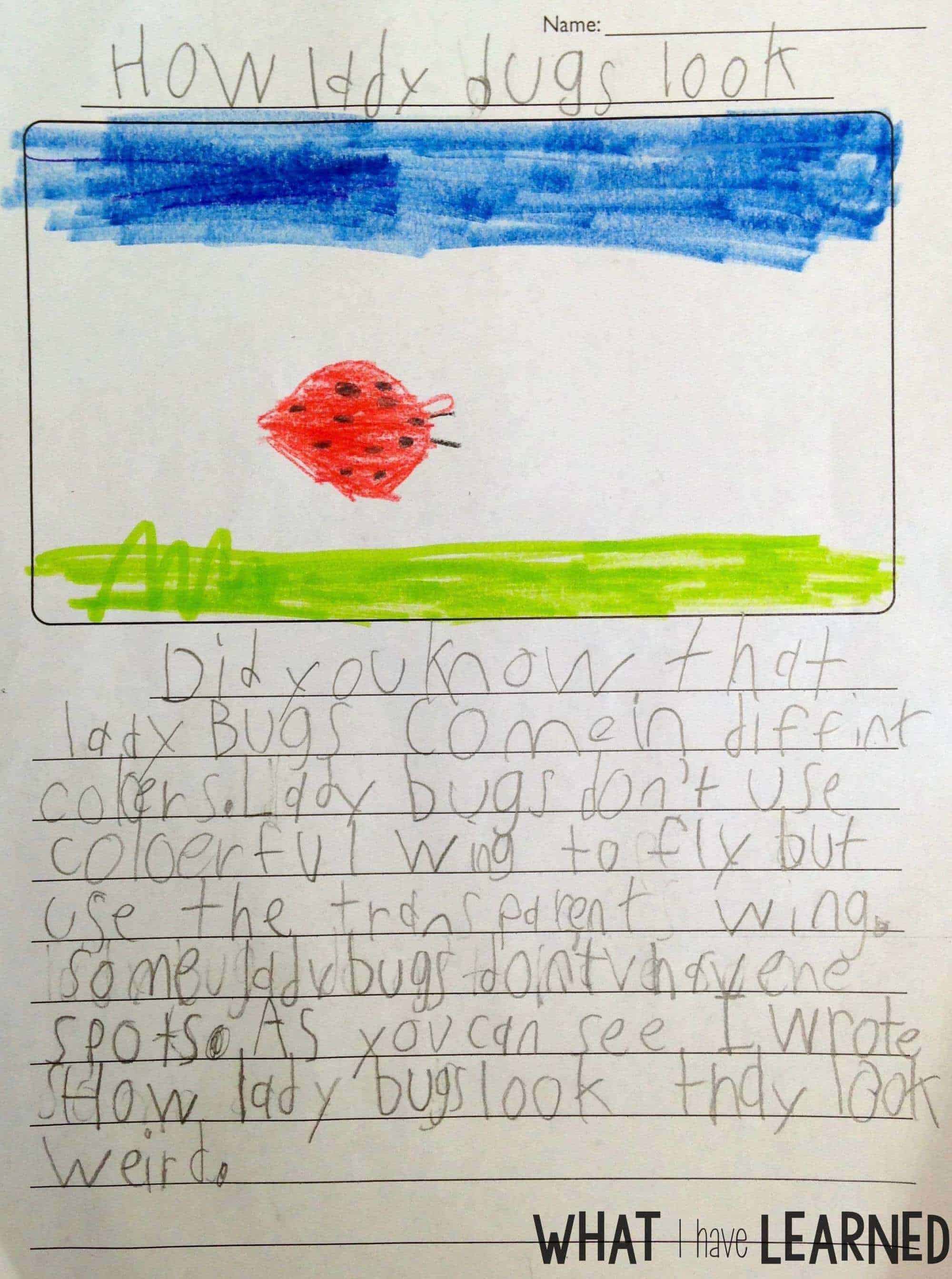 Are your students creating disorganized paragraphs when writing about information or expository text? Find out how I help students organize their facts before writing a paragraph about an animal. This is Week 4 of a series on Informational Writing. This week, we look at using a checklist when writing.