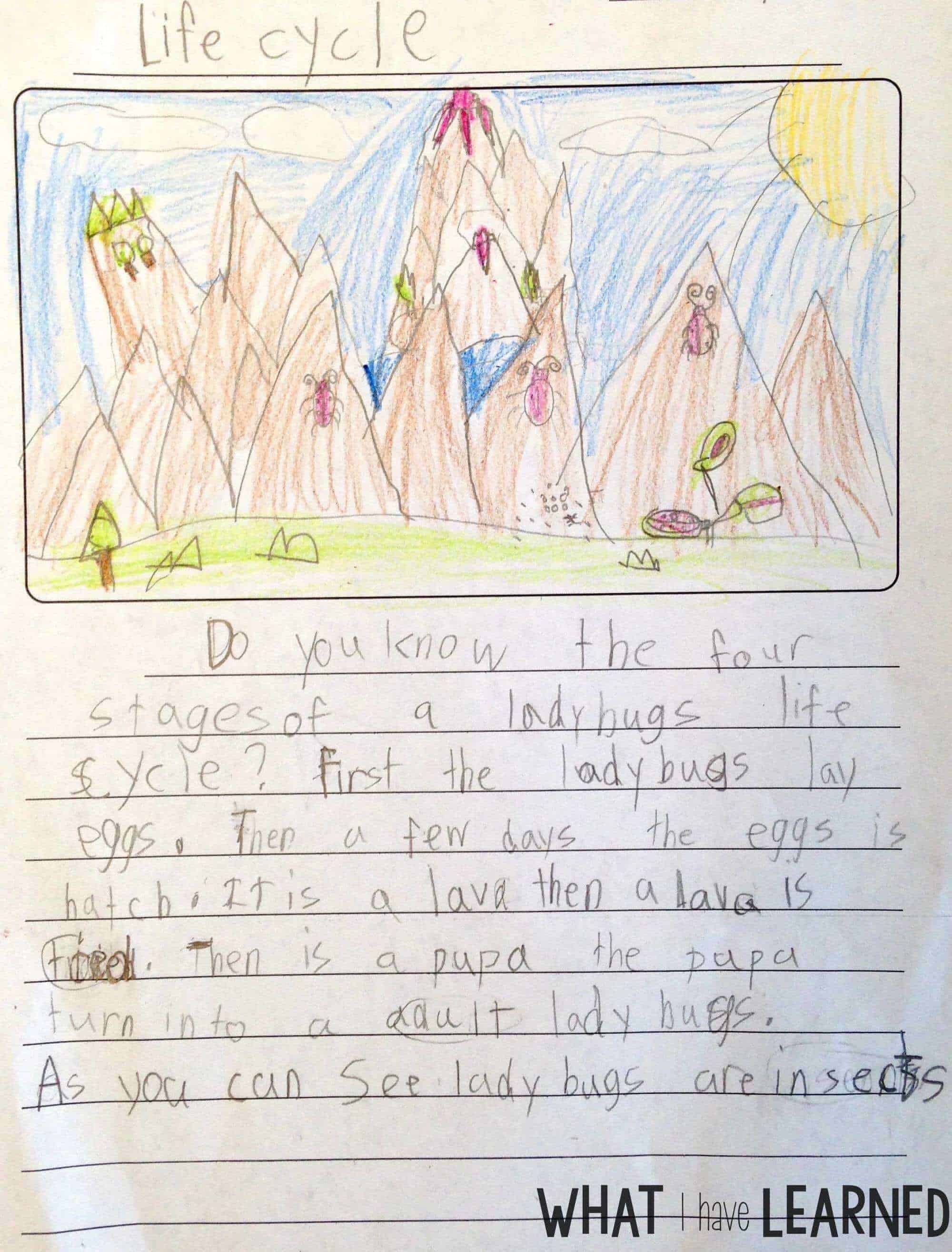 Are your students creating disorganized paragraphs when writing about information or expository text? Find out how I help students organize their facts before writing a paragraph about an animal. This is Week 4 of a series on Informational Writing. This week, we look at using a checklist when writing.
