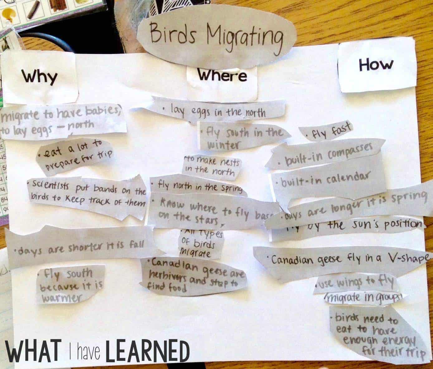 Are your students creating disorganized paragraphs when writing about information or expository text? Find out how I help students organize their facts before writing a paragraph about an animal. This is Week 4 of a series on Informational Writing.