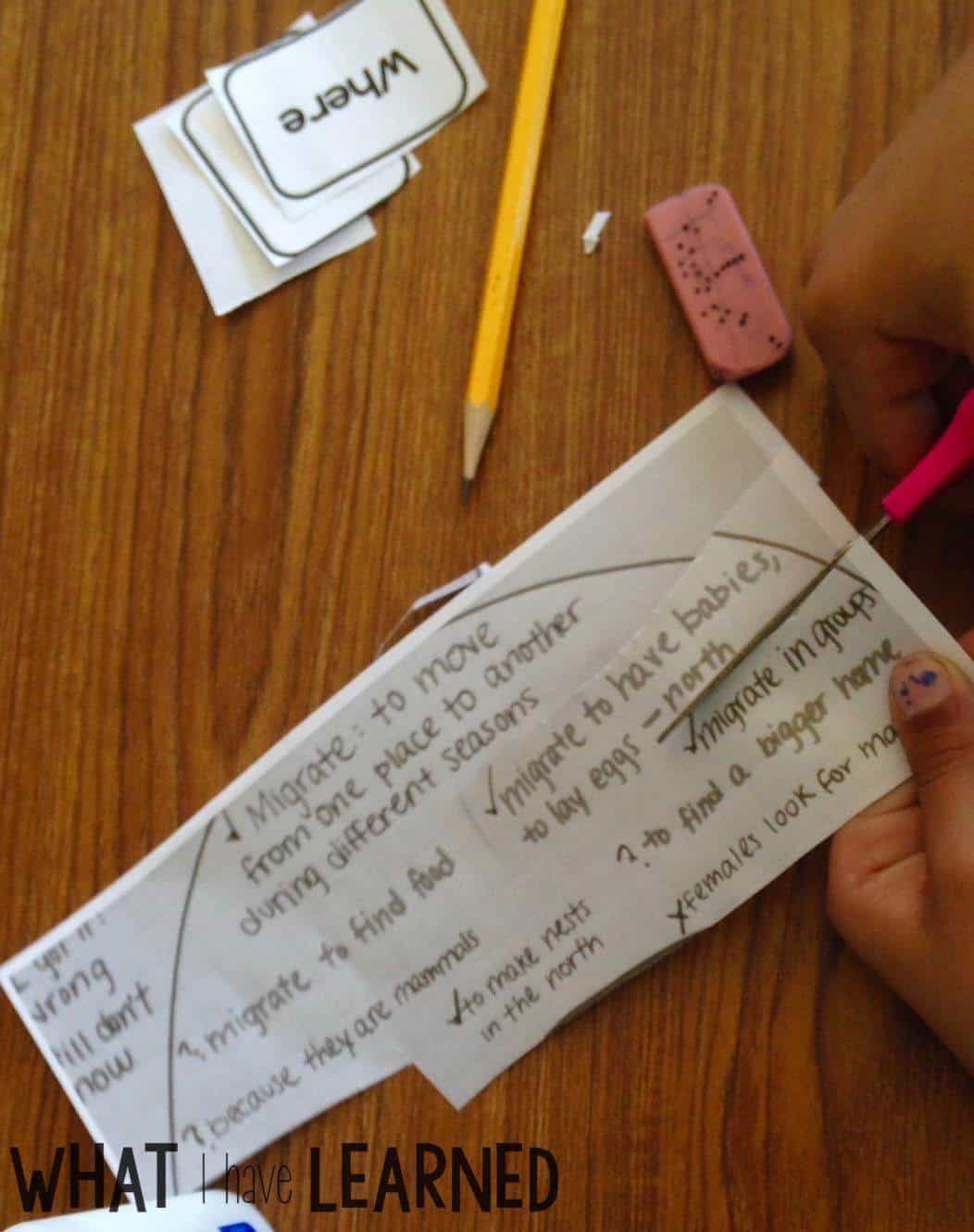 Are your students creating disorganized paragraphs when writing about information or expository text? Find out how I help students organize their facts before writing a paragraph about an animal. This is Week 4 of a series on Informational Writing.