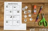 Cut and Paste Math Activities for Third Grade BUNDLE