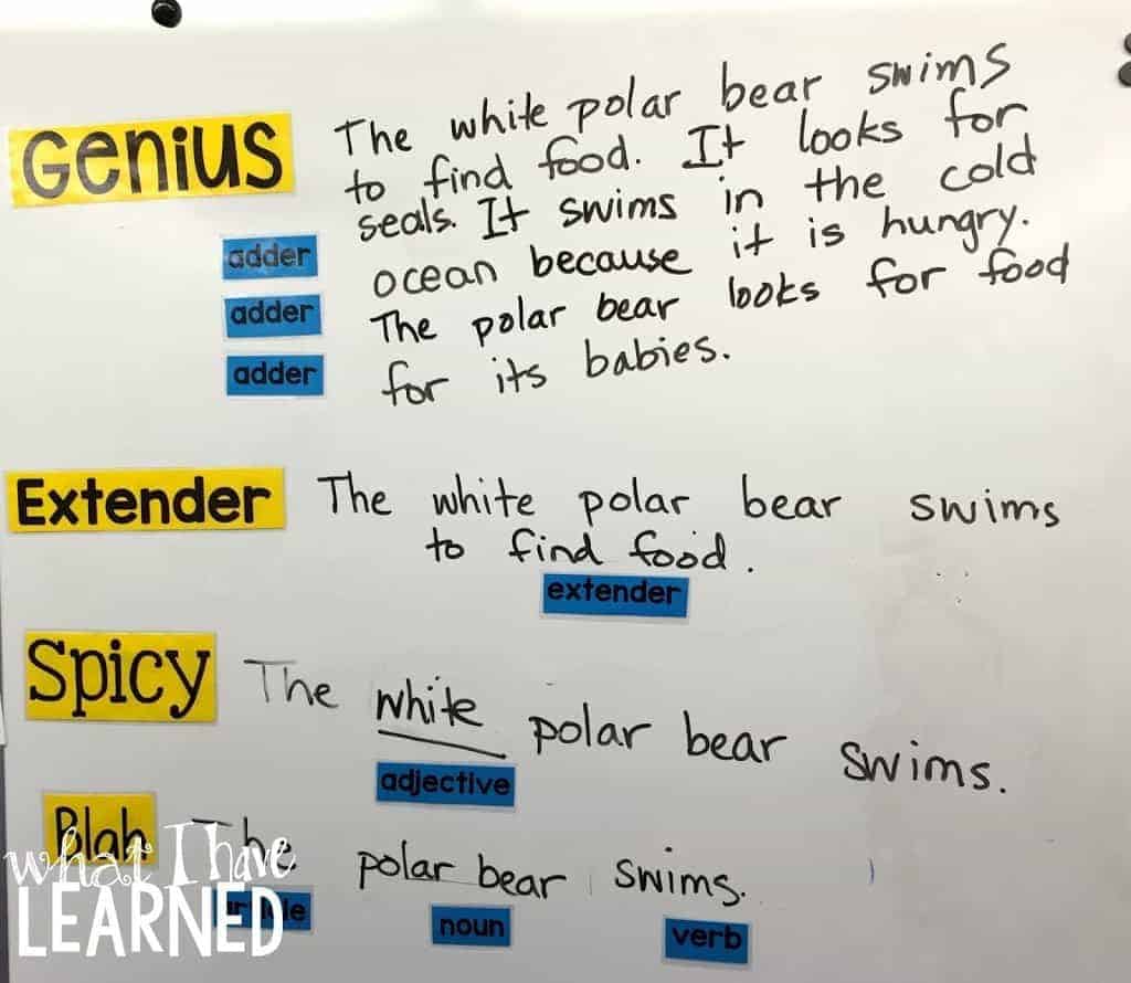 A whiteboard with four sections&mdash;Genius, Extender, Spicy, Blah&mdash;featuring polar bear sentences. Blue cards (adder, extender, adjective, noun, verb) are placed by highlighted words in the Genius section.