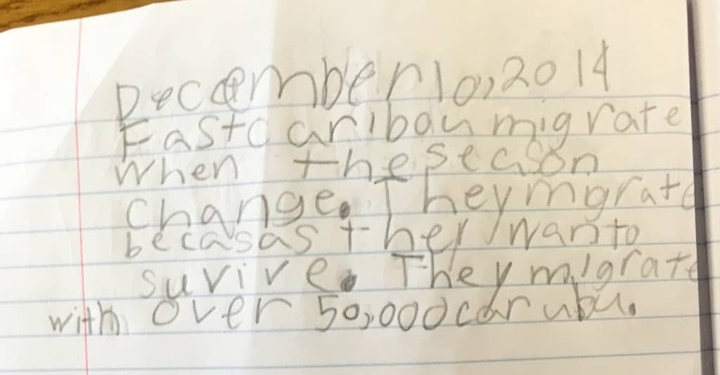 A student writing dated December 10, 2014, brilliantly explains that East caribou migrate in groups of over 50,000 when the seasons change to survive.