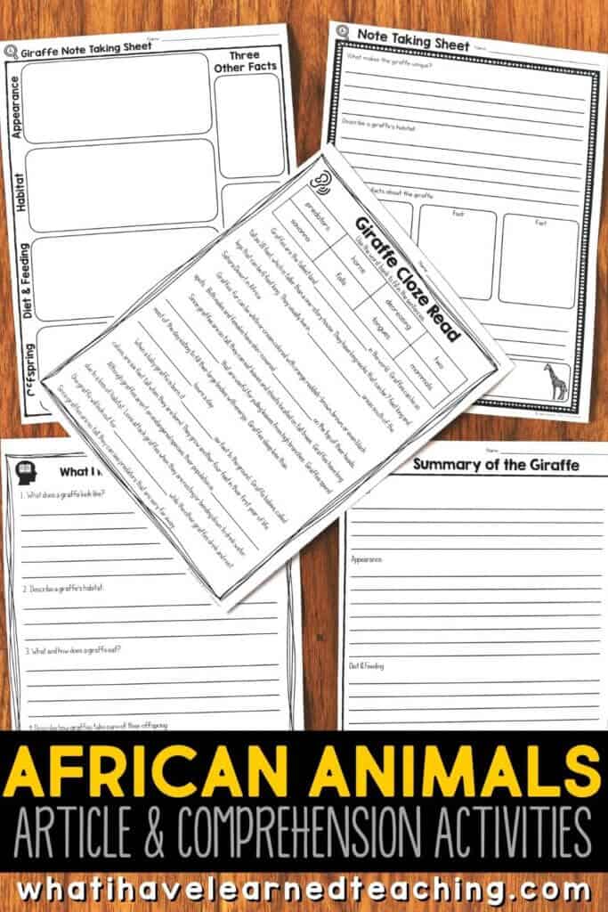 African animal articles that engage elementary students in reading and writing about their favorite animals. Included are elephants, zebras, lions, rhinos, and more! Each animal article has an article with vivid photographs, comprehension activities, vocabulary cards, a fact sort, and mini-report pages. #africananimals #infomrationalwriting #secondgrade #thirdgrade
