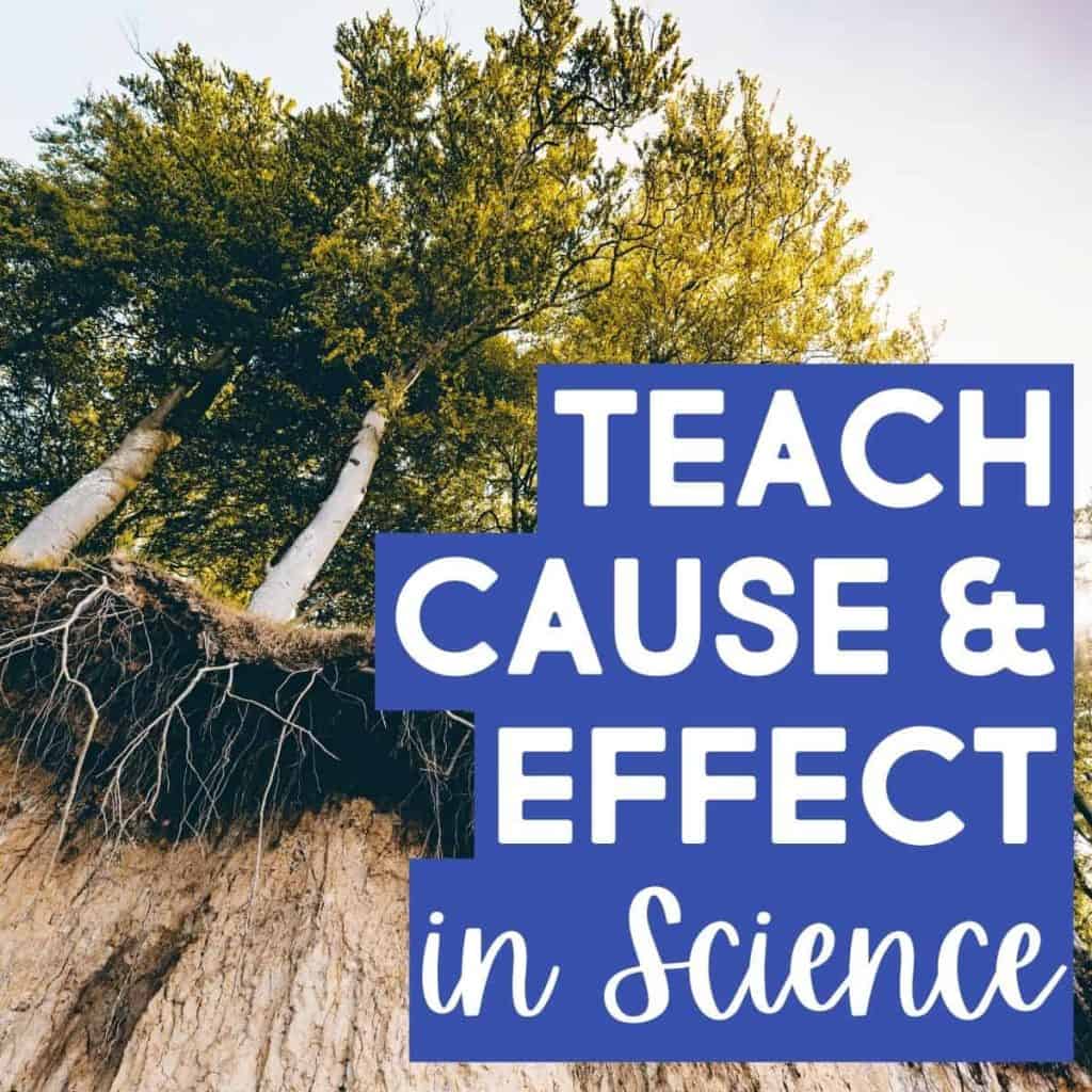 Tall trees with exposed roots stand atop a dirt cliff. Overlaid text reads: BLOG SQUARE Teach and Practice Cause and Effect in bold white and blue letters.