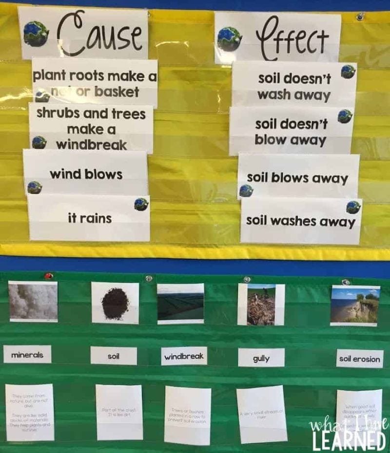 Cause Effect With Soil Erosion Integrated ELD cause-effect-with-soil-erosion-integrated-eld