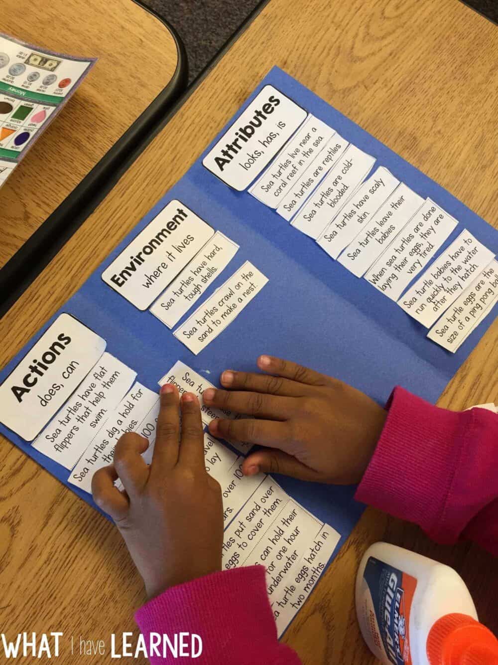 Fact Sort Fact Sort