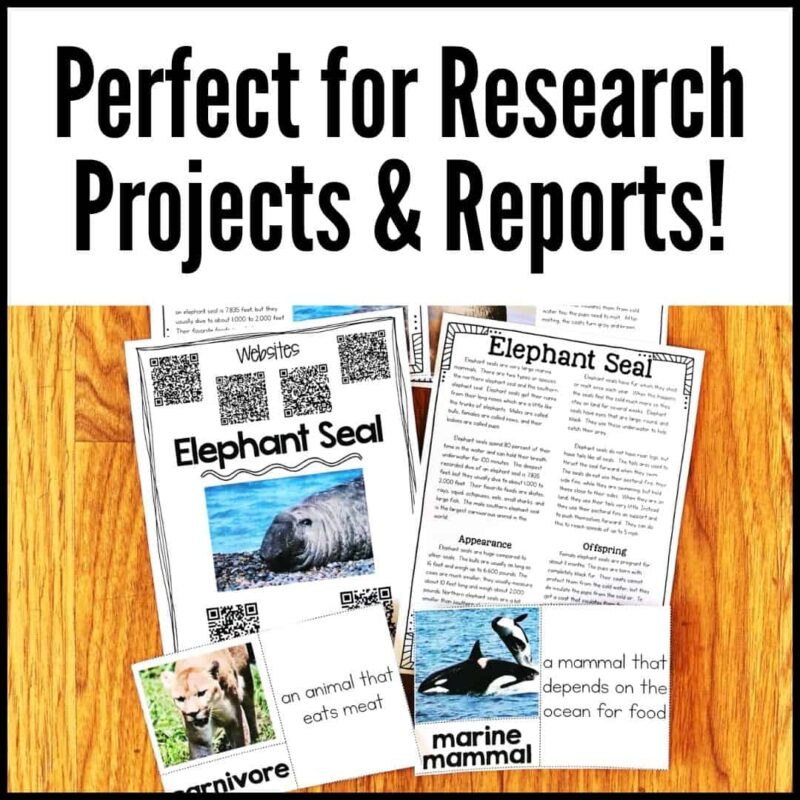 Antarctic Animals 3 Image displaying research materials on elephant seals from Antarctic Animals 3, including worksheets, fact cards about carnivores and marine mammals, and a photo of an elephant seal. Bold text at the top reads, “Perfect for Research Projects & Reports!” An excellent addition to any Antarctic animals bundle or unit on Antarctic wildlife.