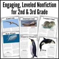 Explore Antarctic Animals 4: a set of six nonfiction fact sheets designed for 2nd and 3rd graders, featuring fascinating creatures such as the albatross, elephant seal, leopard seal, blue whale, emperor penguin, and orca. Each page offers captivating images and concise descriptions—ideal for your Antarctic animals bundle!.