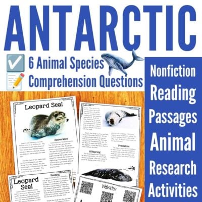 Antarctic Animals cover featuring text and reading passages about Antarctic wildlife, with engaging research activities. Includes photos and descriptions of the leopard seal, animal worksheets, and marine animal illustrations—an all-in-one classroom bundle for learning about Antarctic animals.