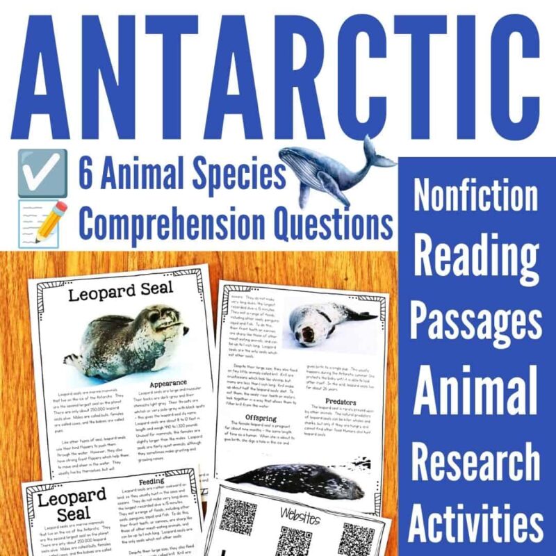Antarctic Animals cover Antarctic Animals cover featuring text and reading passages about Antarctic wildlife, with engaging research activities. Includes photos and descriptions of the leopard seal, animal worksheets, and marine animal illustrations—an all-in-one classroom bundle for learning about Antarctic animals.