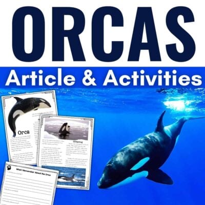 Orca animal research cover.