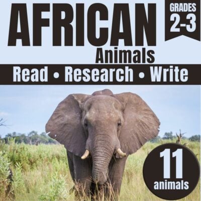 African animals cover.