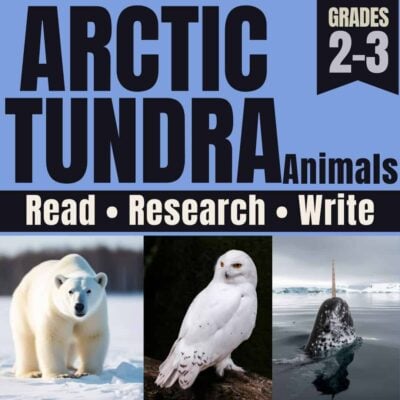 Arctic Tundra cover.