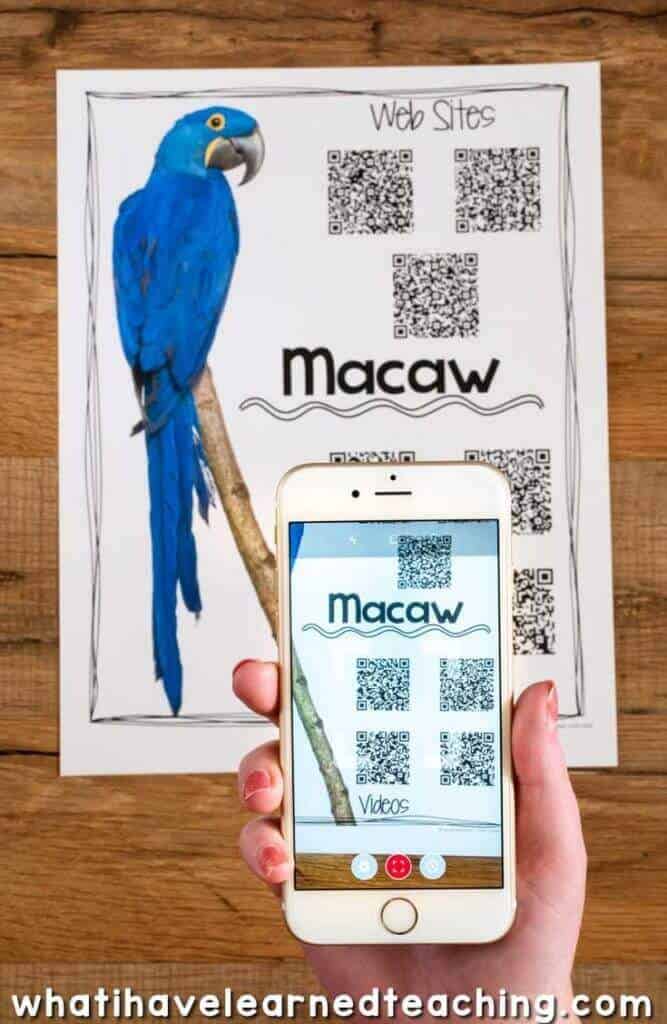 Animal Research Websites for Kids (Safe Sites for Animal Reports) 2 A hand holds a smartphone scanning a QR code on a poster with a blue macaw, the name Animal-Articles.001, and QR codes for Web Sites, Videos, and Articles. The website URL is at the bottom for more animal research.