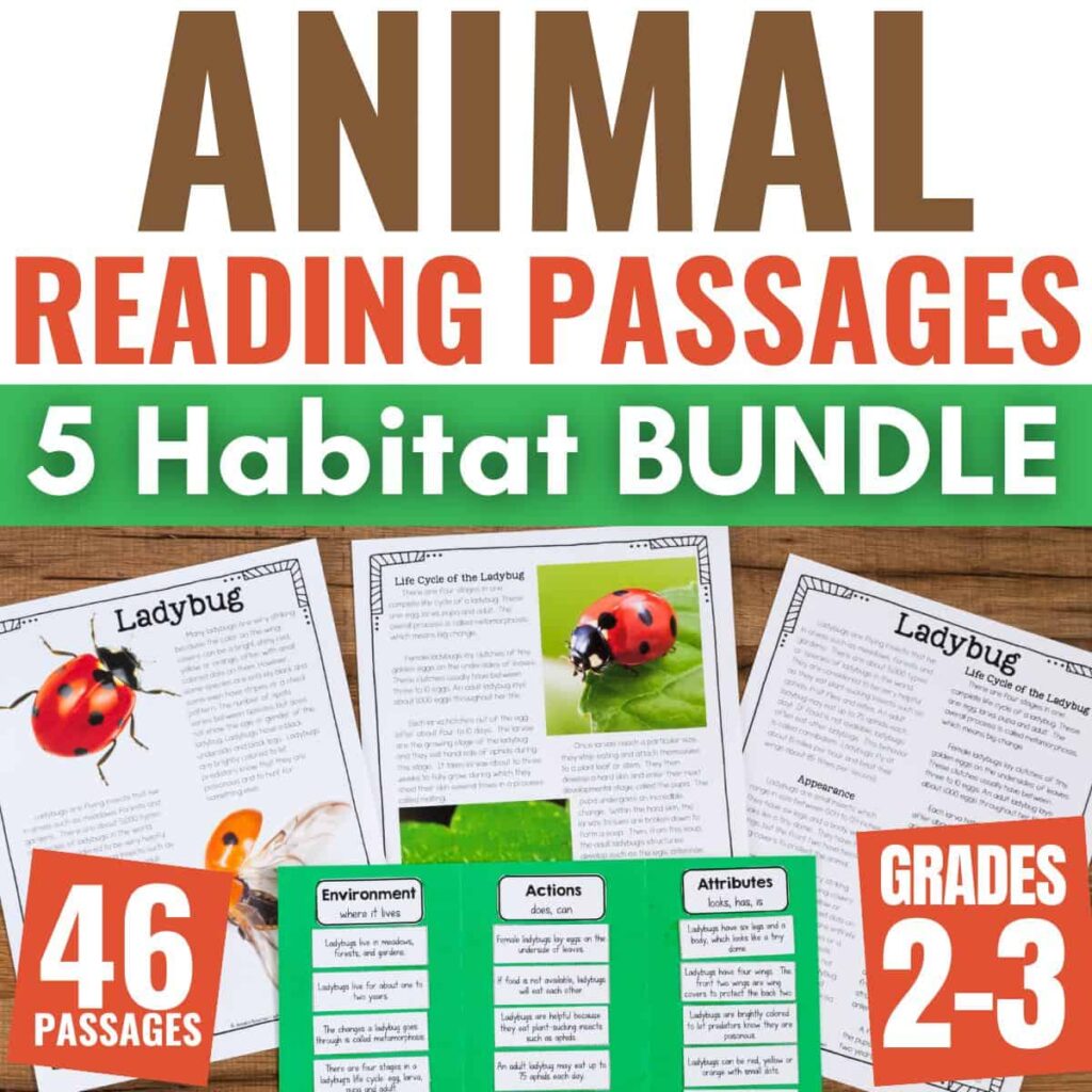 animal articles bundle cover.
