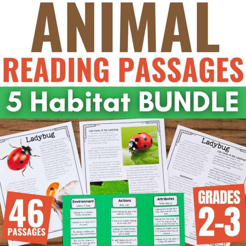 COVER 2090842 Animal Article BUNDLE (1) animal articles bundle cover.