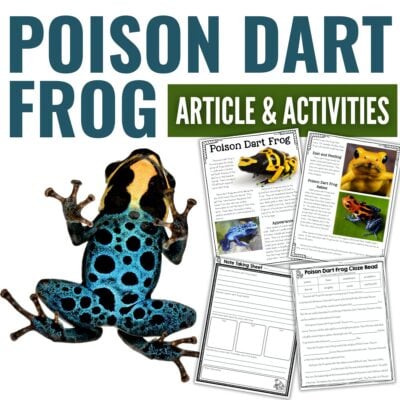 Poison dart frog cover.