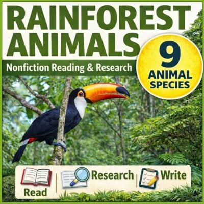 Rainforest animals cover.