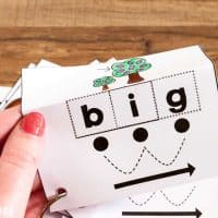 A fun kindergarten activity that engages learners in segmenting CVC words. Students cut, glue, and color the cvc words. However, it's more than just a fun worksheet. Cut out the cards, hole punch, and place on a ring for continued practice. Fold the picture over and create flash cards on a ring.
