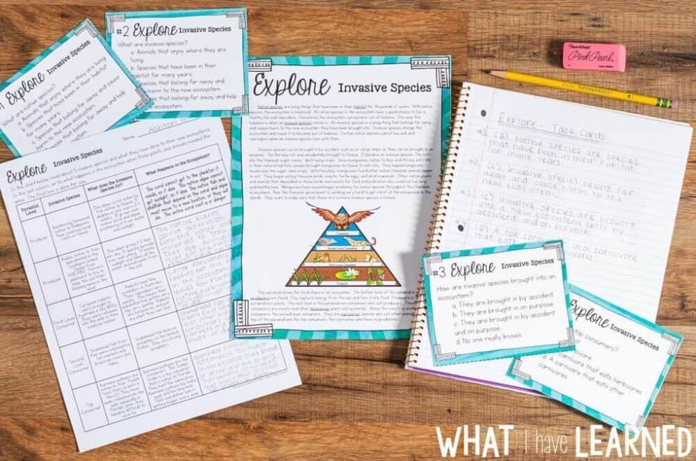 Explore Science Station Third Grade Science Stations that follow the Next Generation Science Standards. For the Explore station, students explore the concept in depth and answer questions about the exploration.