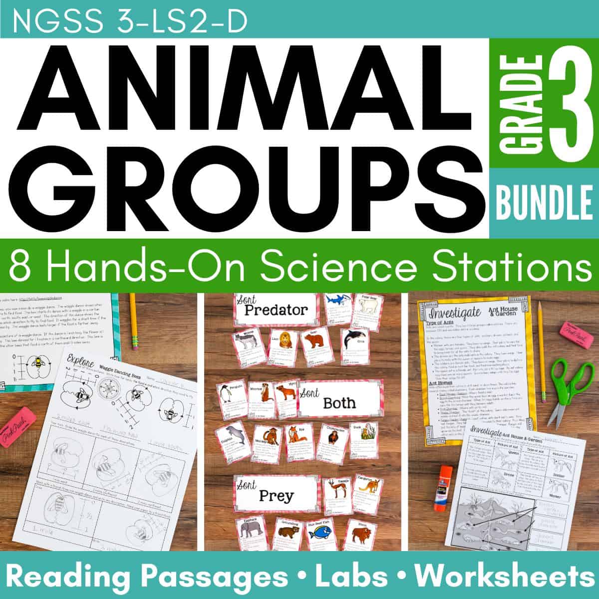 Ecosystems: Animal Group Behavior Third Grade Science Stations
