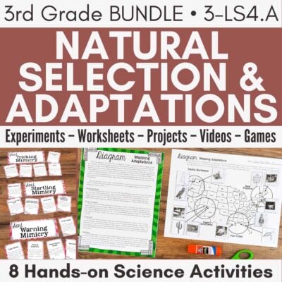 Natural selection cover.