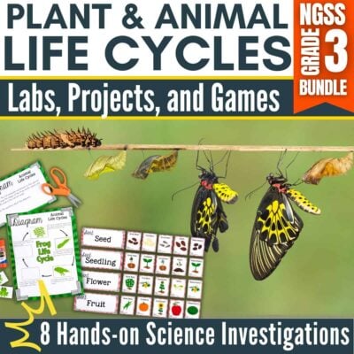 Plant & animal life cycle cover.