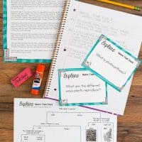 Name that Plant! Students construct an identification key based on plant traits and learn how scientists classify plants. After the worksheet activity, students answer questions in their science journal or additional worksheet. This is part of an Inheritance and Variation of Traits Science Station.