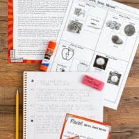 How do seeds move from place to place? Students sort seeds that stick to fur, move by water, are eaten by animals or move by the wind then answer questions about the activity in their science journal or on a worksheet.