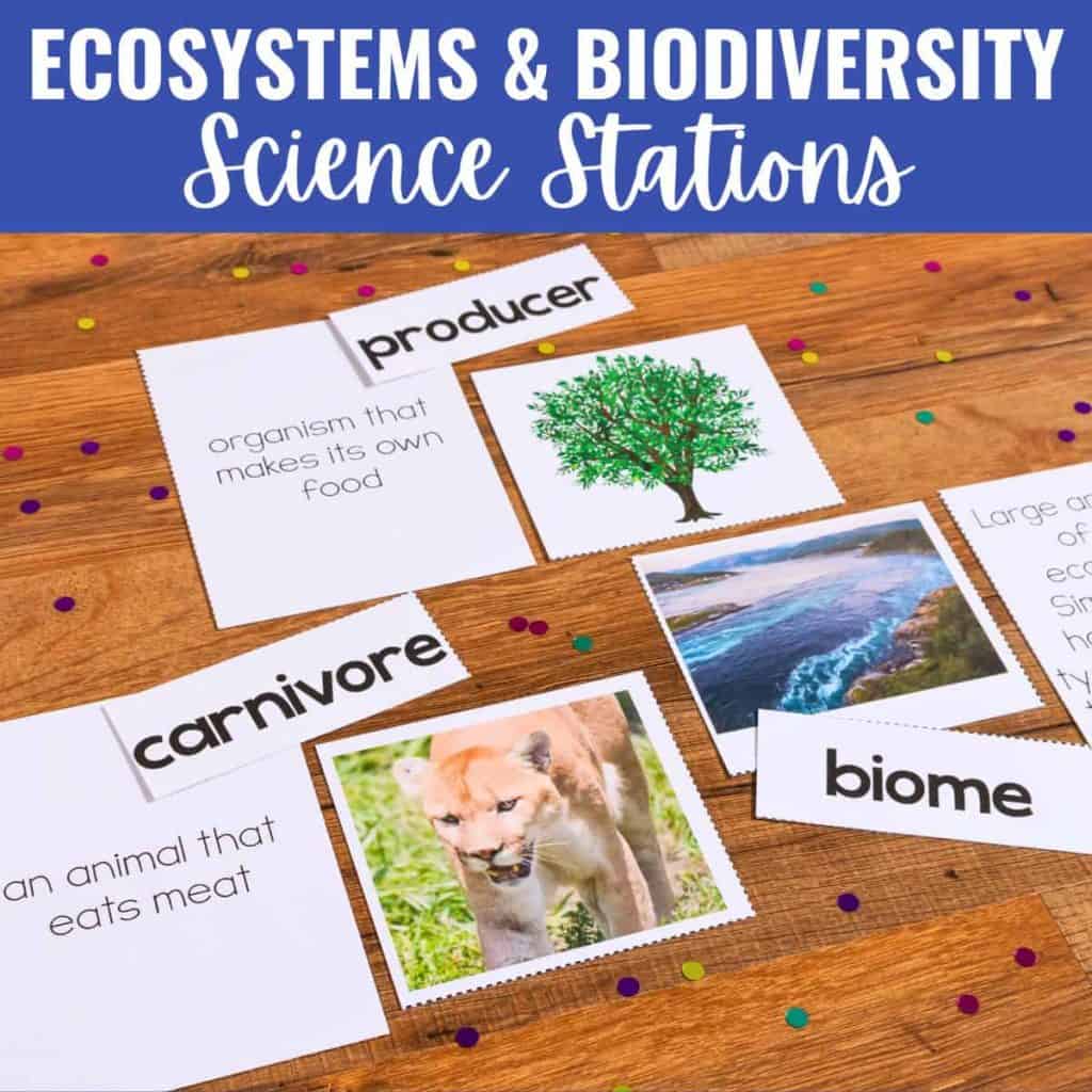 Science station cards on a wooden surface, featuring labeled cards for producer, carnivore, and biome with matching images and definitions. Colorful confetti highlights lessons about ecosystems and biodiversity.