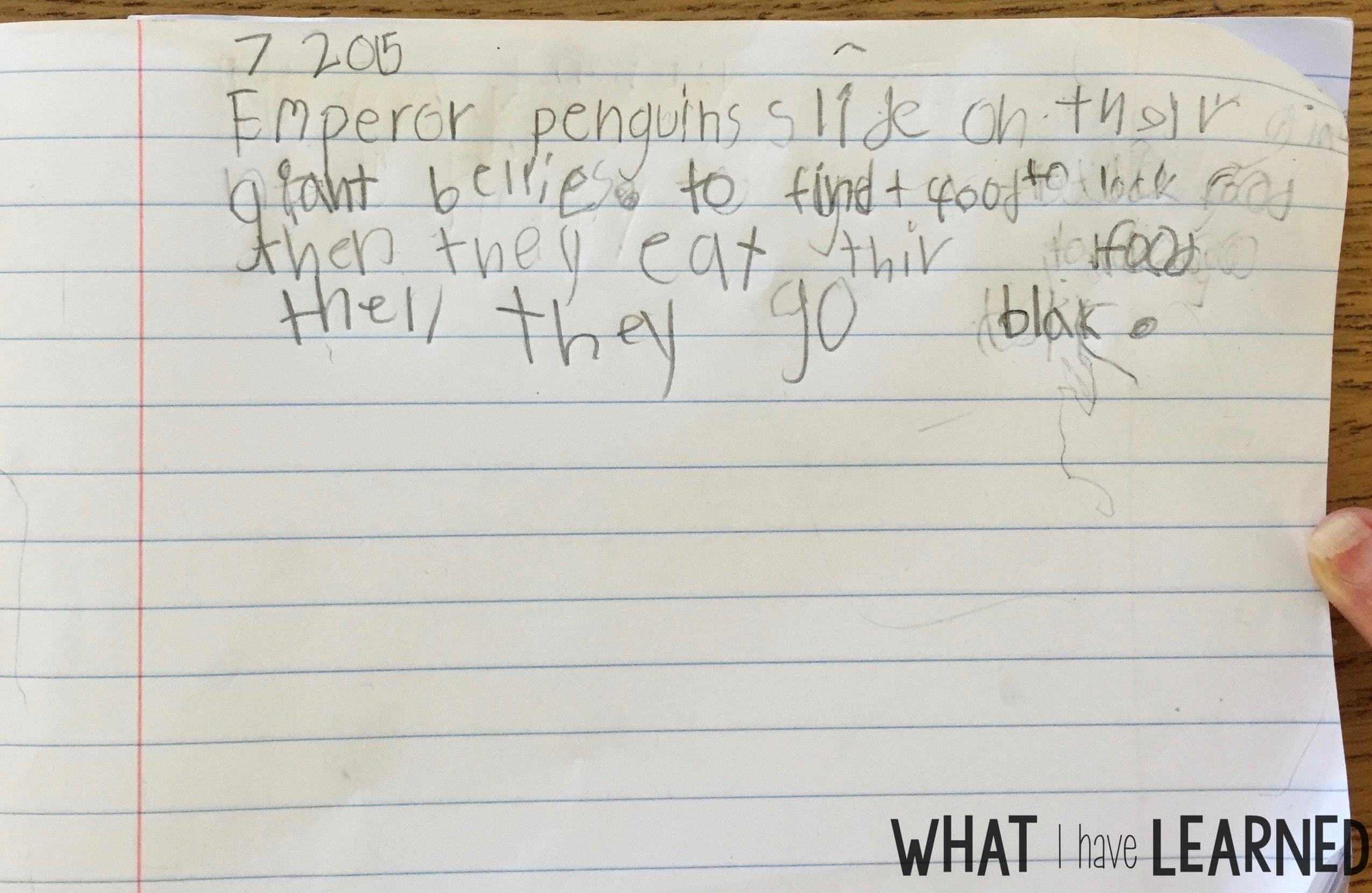 Expository writing example about penguins.