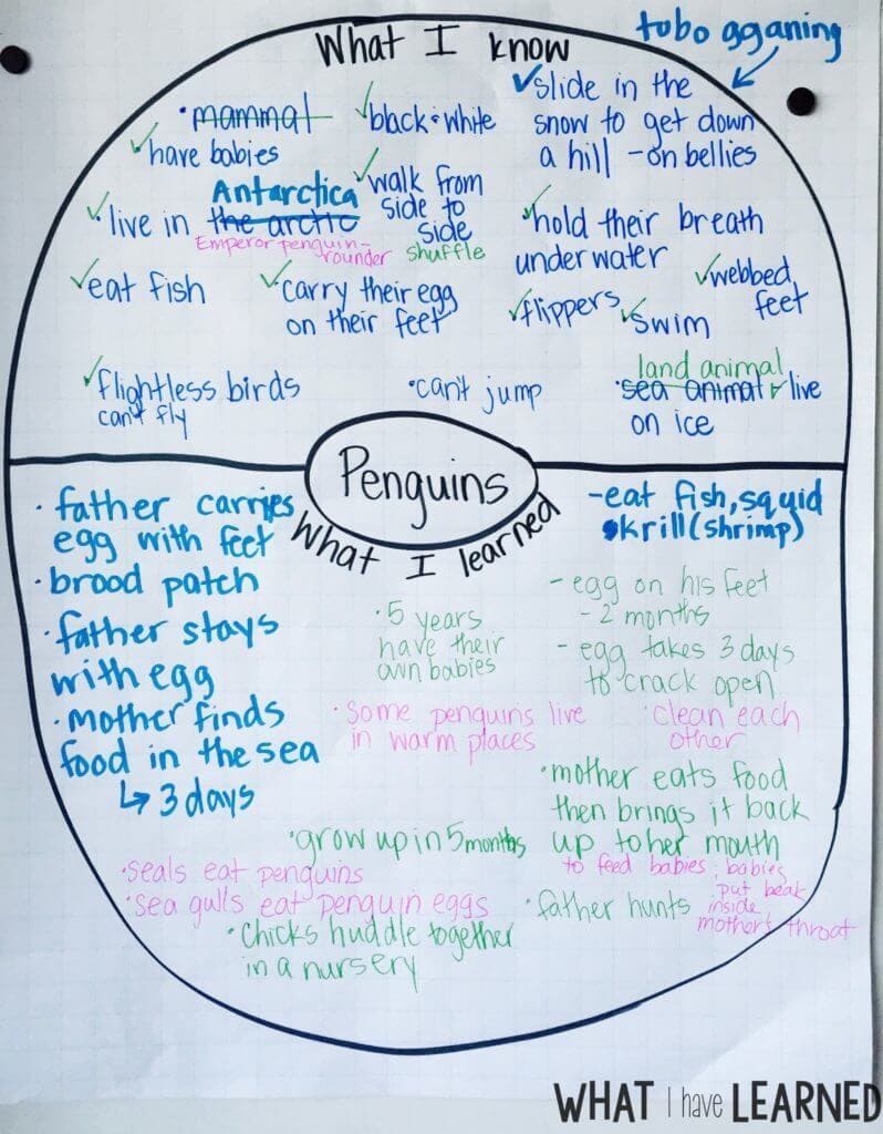 Classroom Activities After Holiday Break 15 A mind map helps students organize what they already know and match it with new learning.