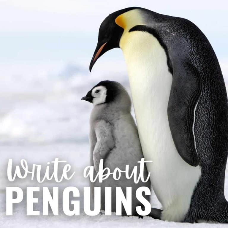 An adult emperor penguin stands beside a fluffy chick on snowy ground. Large white text at the bottom says, “Write about Penguins,” inviting you to explore these fascinating Antarctic birds.