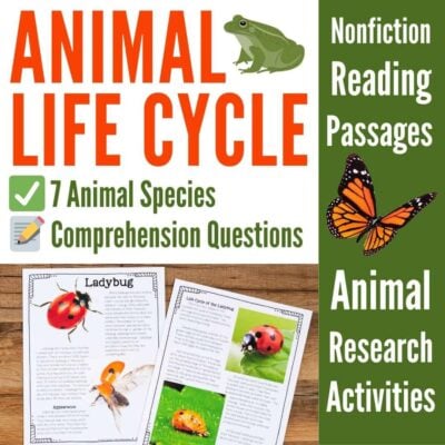 Animal life cycle cover.