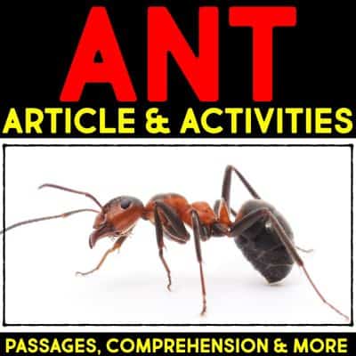 Ant life cycle informational article about ant colonies and how ants reproduce. This article comes in two formats, has vocabulary cards and comprehension resources. It's great for second grade and third grade students who are learning about animal life cycles. #antlifecycle #lifecycles #elementaryscience