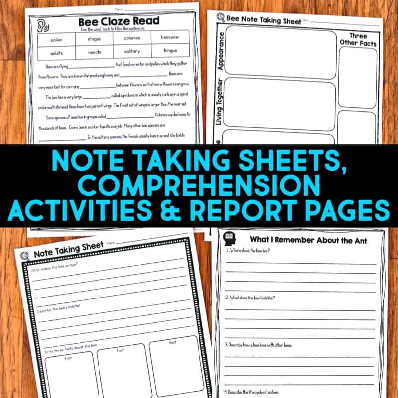 Bee LIfe Cycle3 Bee life cycle informational article about beehives and how bees reproduce. This article comes in two formats, has vocabulary cards and comprehension resources. It's great for second grade and third grade students who are learning about animal life cycles. #beelifecycle #lifecycles #elementaryscience