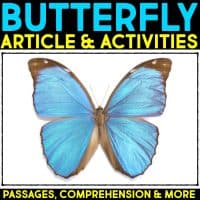 Butterfly life cycle informational article about butterflies and how butterflies reproduce. This article comes in two formats, has vocabulary cards and comprehension resources. It's great for second grade and third grade students who are learning about animal life cycles. #butterflylifecycle #lifecycles #elementaryscience