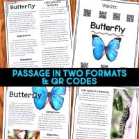 Butterfly life cycle informational article about butterflies and how butterflies reproduce. This article comes in two formats, has vocabulary cards and comprehension resources. It's great for second grade and third grade students who are learning about animal life cycles. #butterflylifecycle #lifecycles #elementaryscience