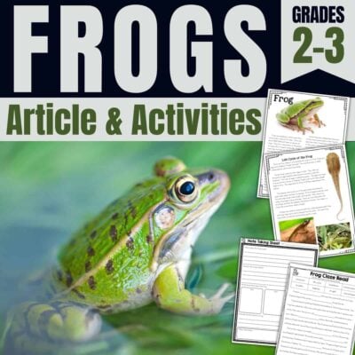 frog animal life cycle cover.