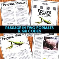 Praying Mantis life cycle informational article about praying mantises and how praying mantises reproduce. This article comes in two formats, has vocabulary cards and comprehension resources. It's great for second grade and third grade students who are learning about animal life cycles. #prayingmantislifecycle #lifecycles #elementaryscience