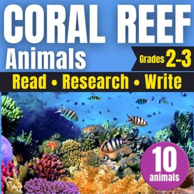 Coral reef animals cover.