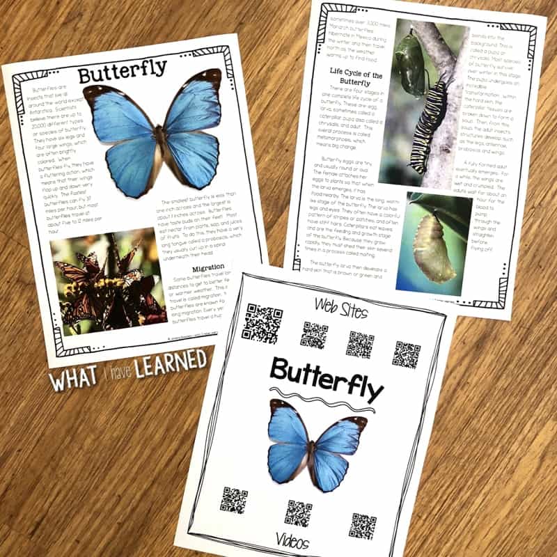 Do you need some butterfly teaching ideas to enhance your unit on butterfly life cycle or butterfly migration? Butterflies are amazing creatures and students love learning about the butterfly life cycle. These are some great teaching ideas about butterflies.