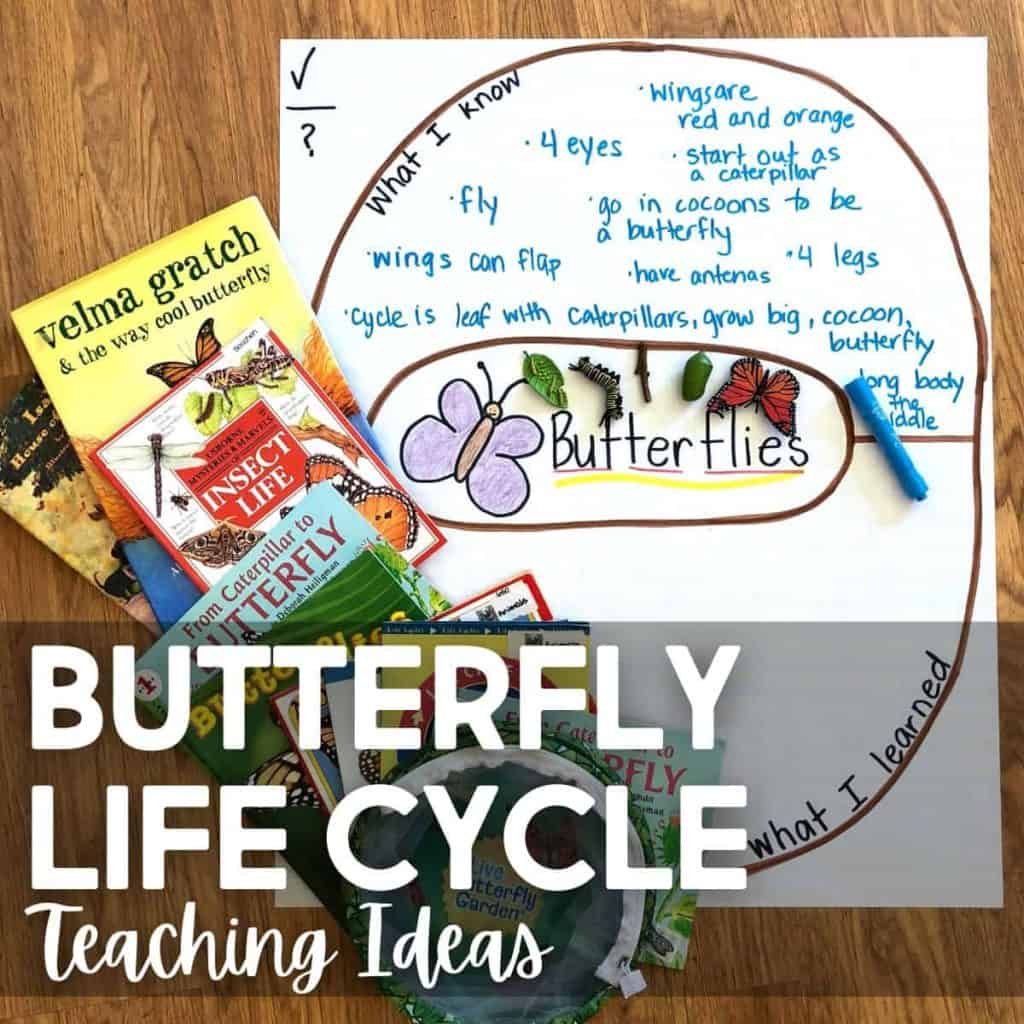 A poster titled Butterfly Life Cycle Teaching Ideas shows books about butterflies, a diagram with facts, a drawing of the Life Cycle of a Butterfly, and colored models of its stages on a wooden surface.