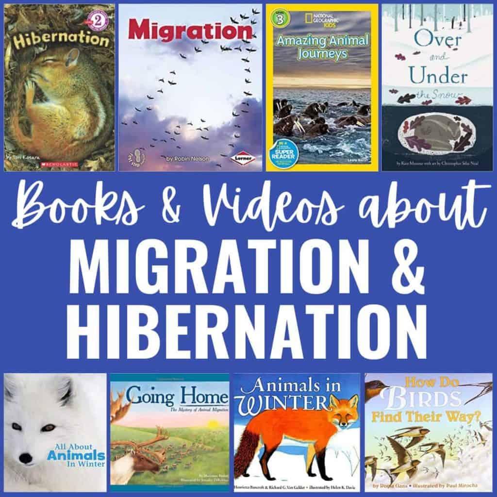 A collage of children&rsquo;s book covers about what animals do in winter, featuring birds, seals, foxes, and turtles, with the text &ldquo;Books & Videos about Migration and Hibernation&rdquo; in the center.