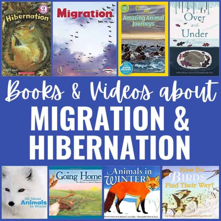A collage of children’s book covers about what animals do in winter, featuring birds, seals, foxes, and turtles, with the text “Books & Videos about Migration and Hibernation” in the center.
